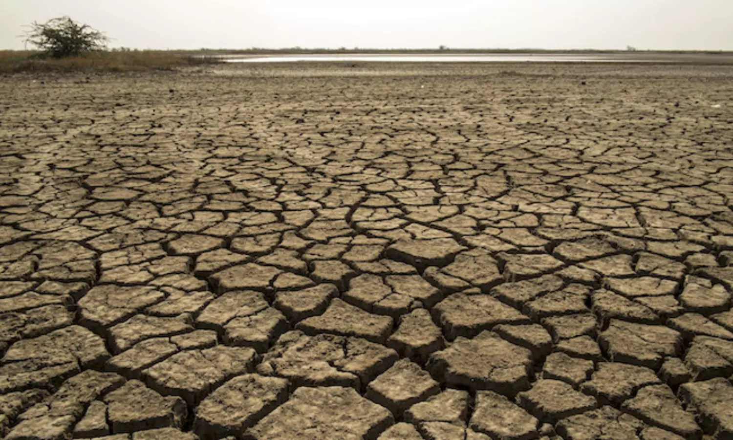 Extreme heatwave in India and Pakistan may not be due to climate change, says WMO