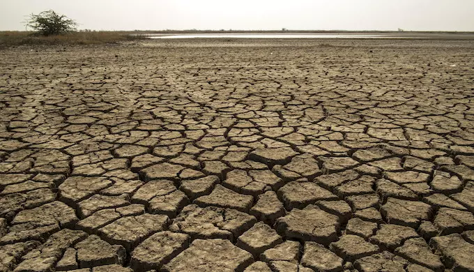 Extreme heatwave in India and Pakistan may not be due to climate change, says WMO Extreme heatwave in India and Pakistan may not be due to climate change, says WMO