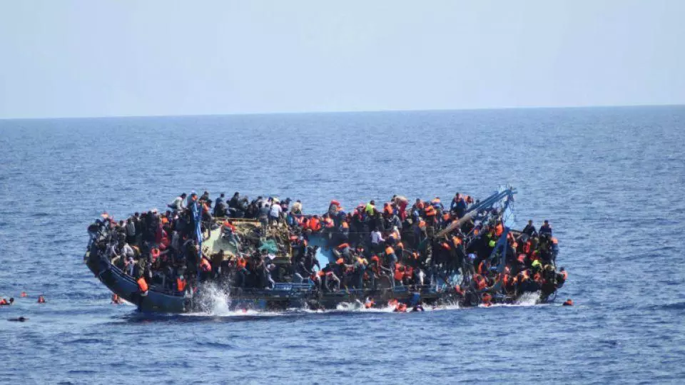 246 illegal migrants rescued off Libyan coast last week