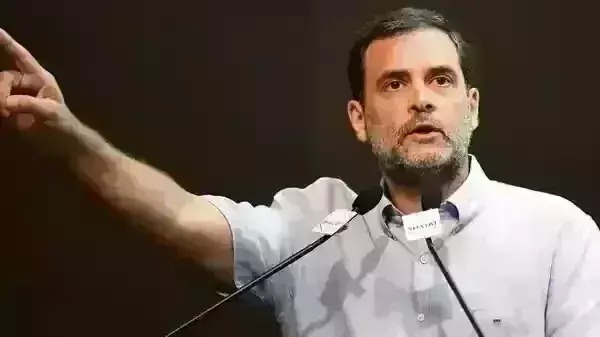 Seniority does not guarantee ticket for polls: Rahul Gandhi