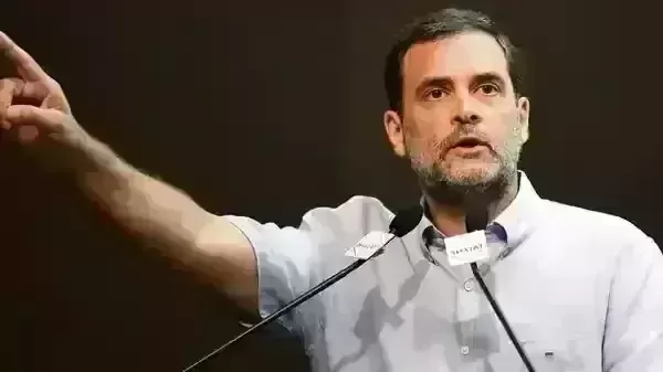 Seniority does not guarantee ticket for polls: Rahul Gandhi