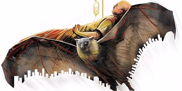 Kerala on alert for Nipah virus amid bat breeding season