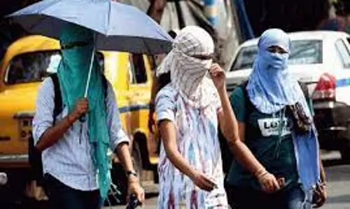 Pre-monsoon and post-monsoon warming abnormal in Delhi: study