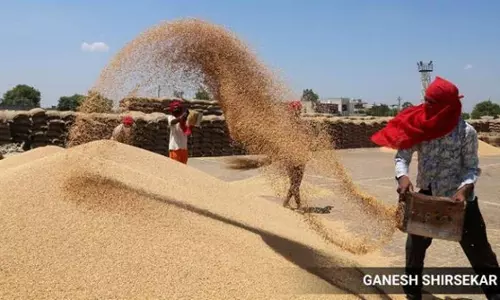 Wheat export ban: consignments registered by May 13 allowed to be shipped