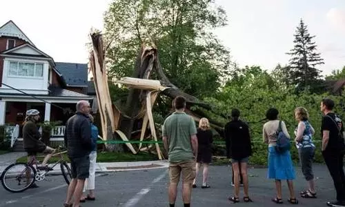 Four dead, more than 900K without power after heavy storms wreak havoc in Canada