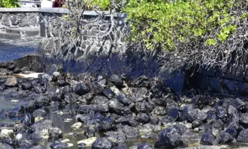 Innovative Technology to tackle oil spills: Mexico scientists