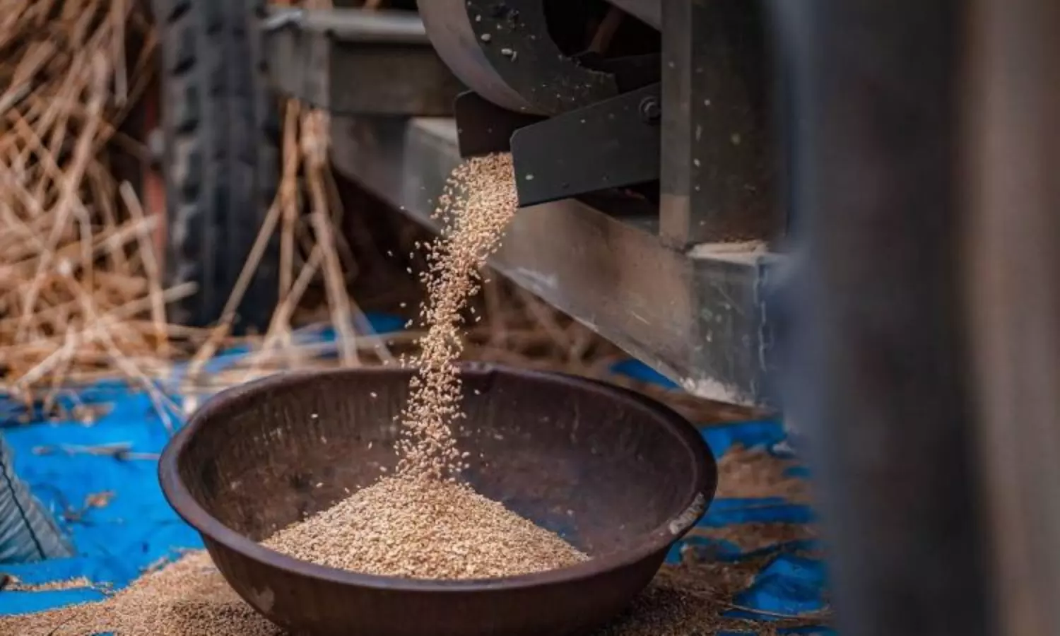 National Food Security Act: Centre finds 55L plus fake beneficiaries