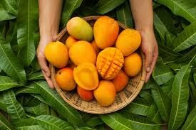Mango going pricey following low production