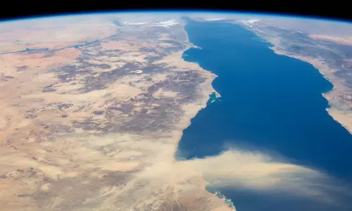 Red Sea digging unearths 80M-year-old creatures fossils