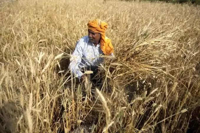 India allows small amount of wheat to move out after ban