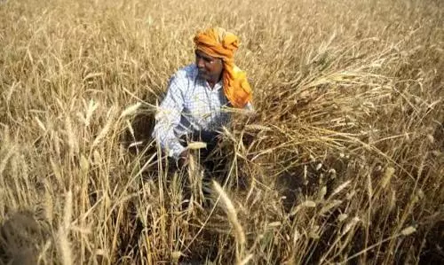 India allows small amount of wheat to move out after ban