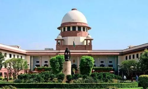 SC bans mining, factories within 1-km radius of national parks, wildlife sanctuaries