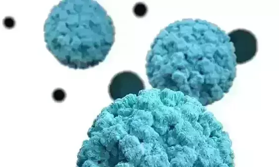 2 Norovirus cases get confirmed in Kerala