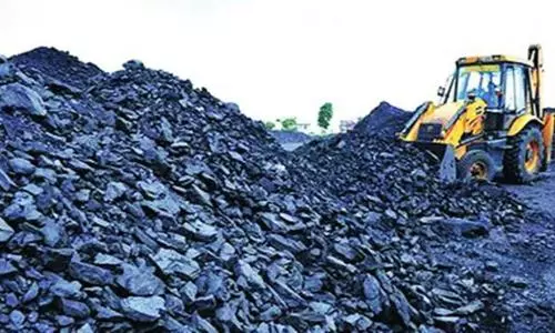 Coal India is looking at green mining options, says chairman