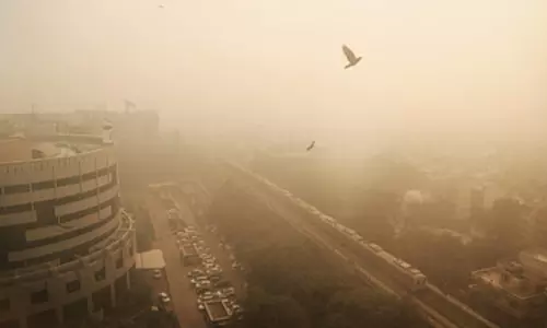 India drops to the bottom of environmental performance index
