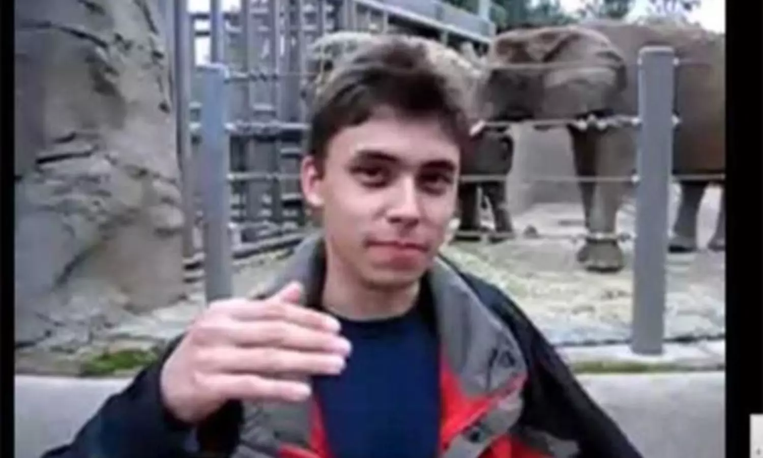 Me at the zoo is all about YouTubes humble beginning