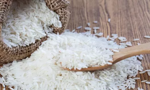 China becomes biggest buyer of Indian broken rice