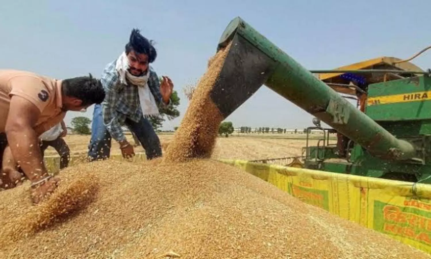 UAE suspends export of Indian wheat for four months