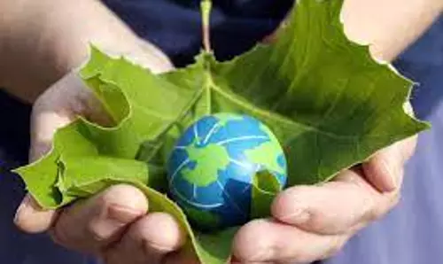 COVID makes people to go careless about climate: Study