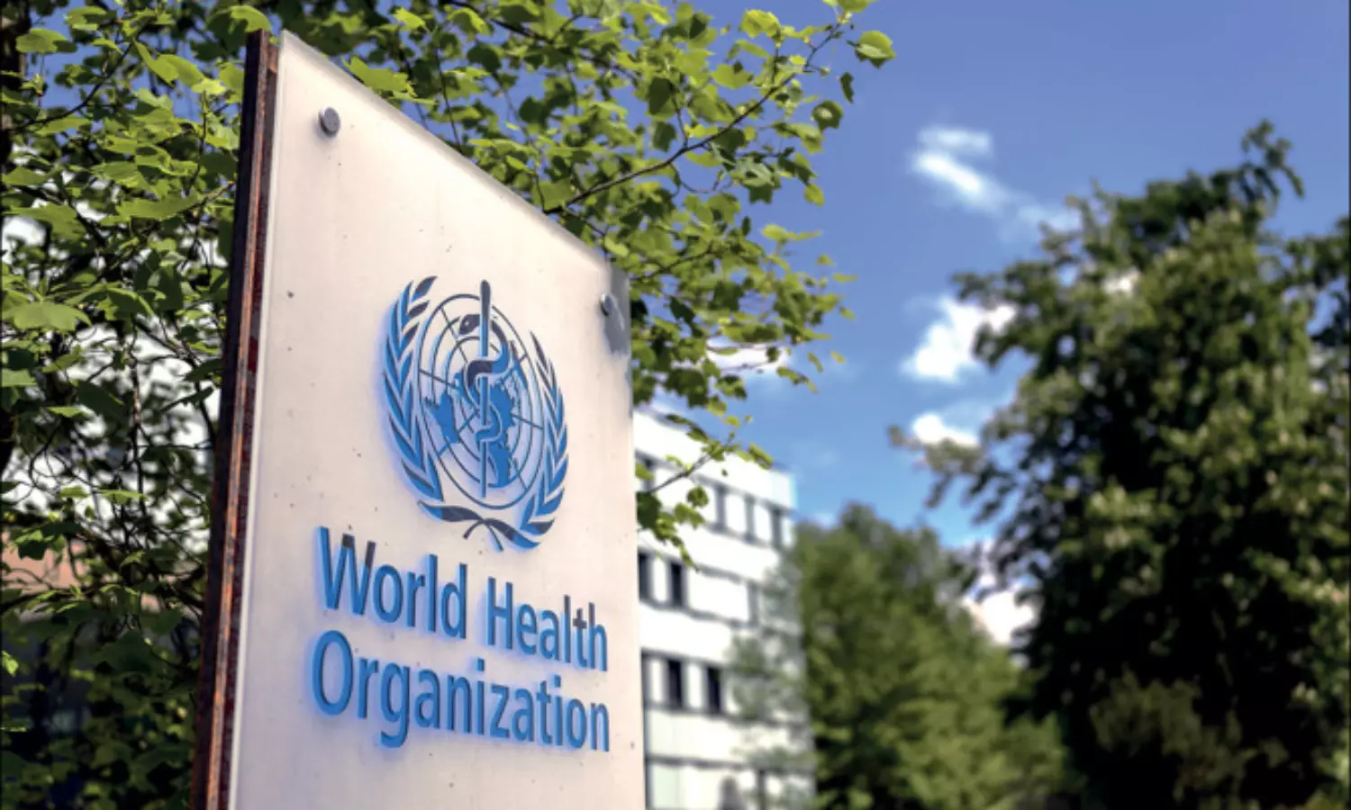Monkeypox not a global health emergency for now: WHO