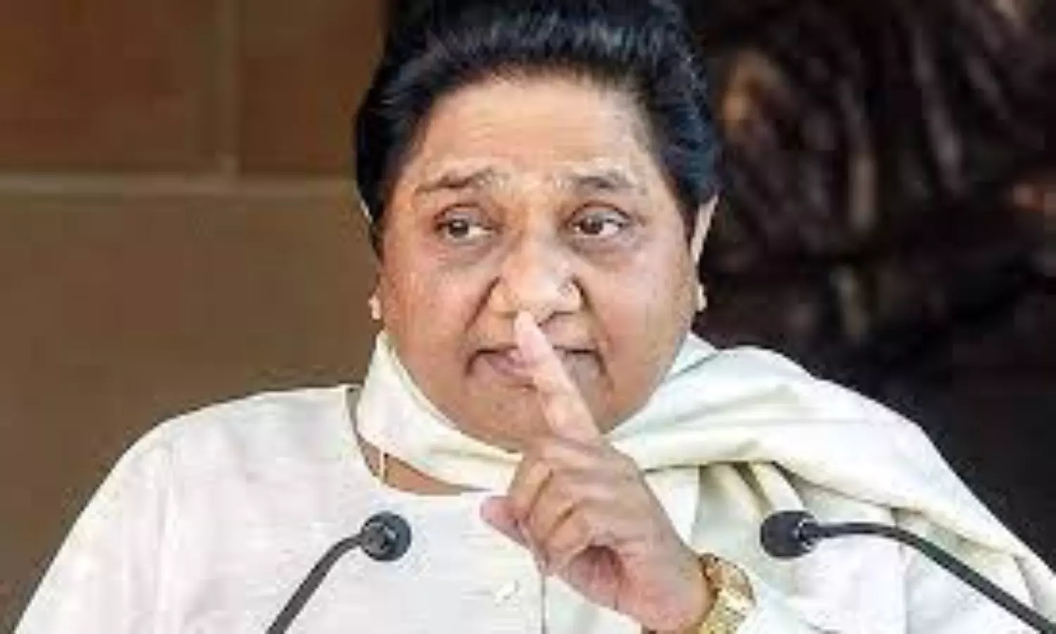 BSP not to ally with anyone in LS polls: Mayawati