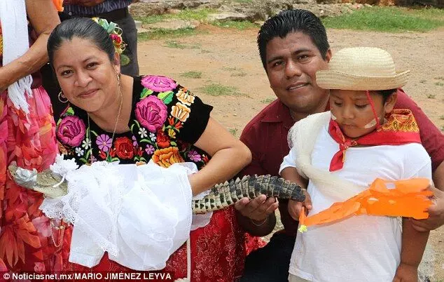 Small town Mexican mayor marries alligator bride for natures bounty