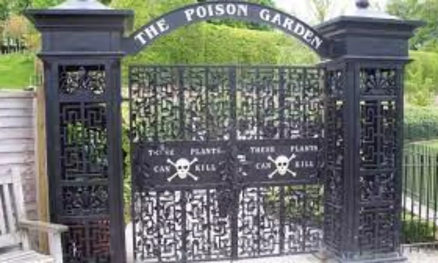 The poison garden goes viral, Home to the worlds deadliest plant