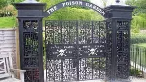 The poison garden goes viral, Home to the worlds deadliest plant