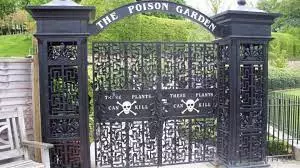 The poison garden goes viral, Home to the worlds deadliest plant The poison garden goes viral, Home to the worlds deadliest plant