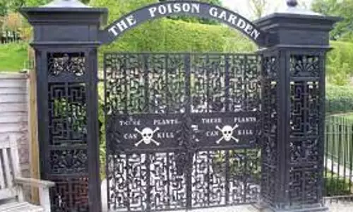 The poison garden goes viral, Home to the worlds deadliest plant
