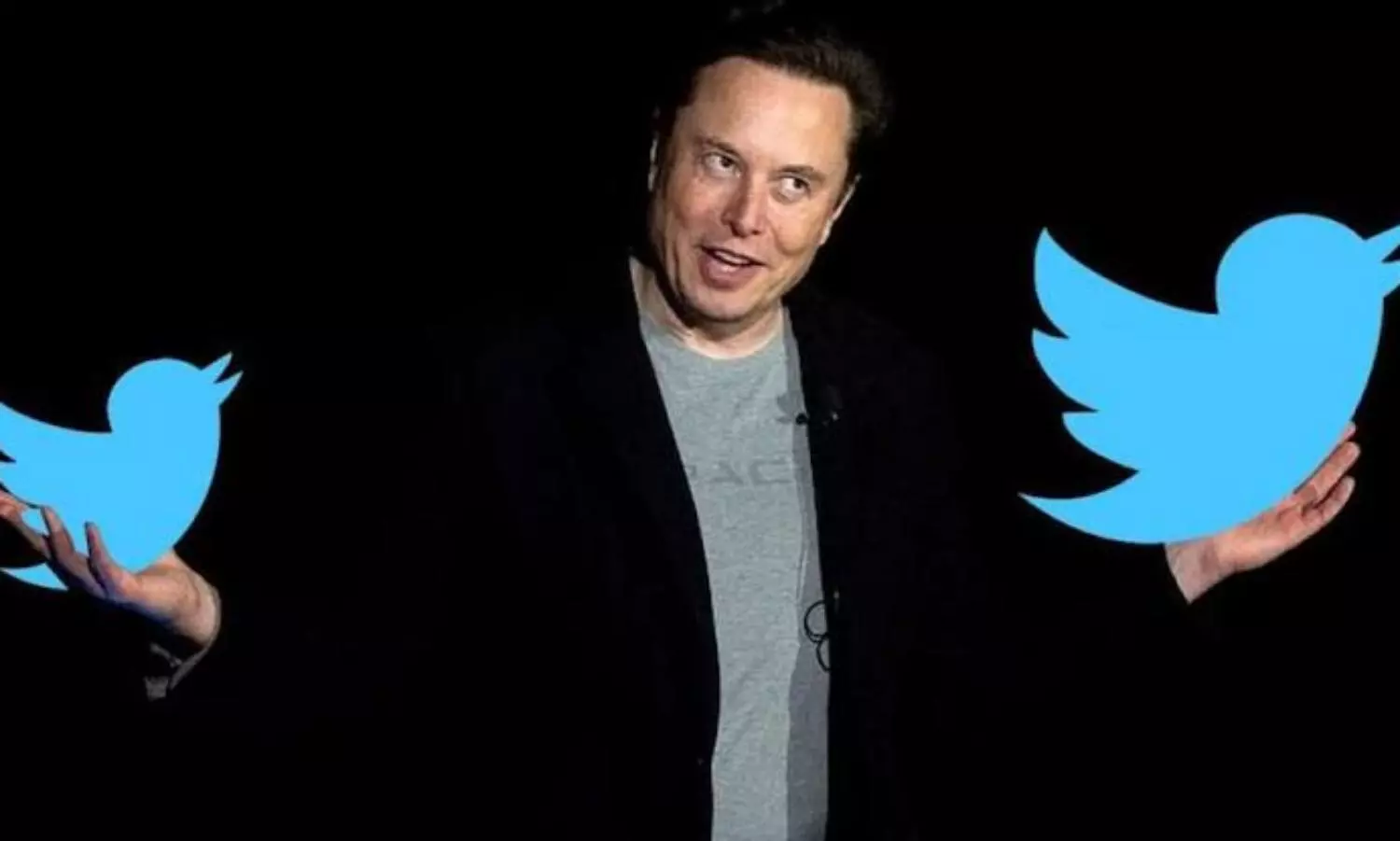 Elon Musk pulls plug on $44 billion Twitter deal, company vows legal fight