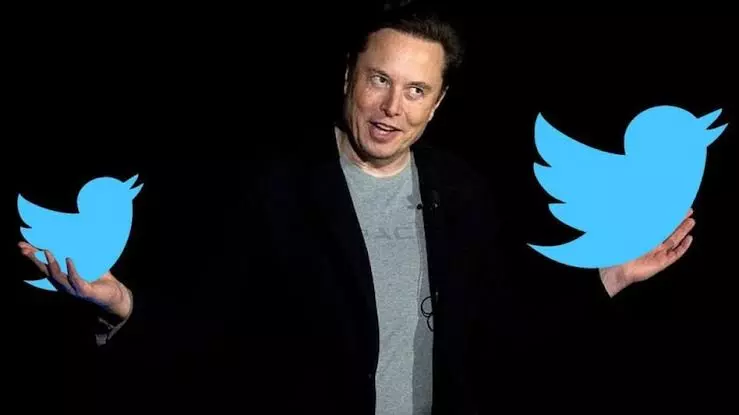 Elon Musk pulls plug on $44 billion Twitter deal, company vows legal fight