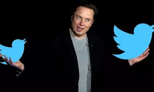 Elon Musk pulls plug on $44 billion Twitter deal, company vows legal fight