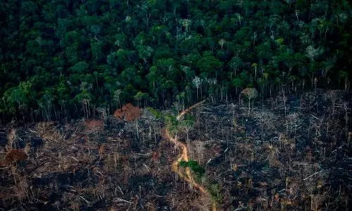 Brazil sees record Amazon deforestation in first half of 2022