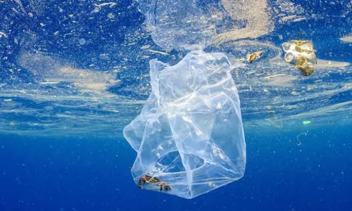 Chinese scientists create robot fish to clean up polluted ocean