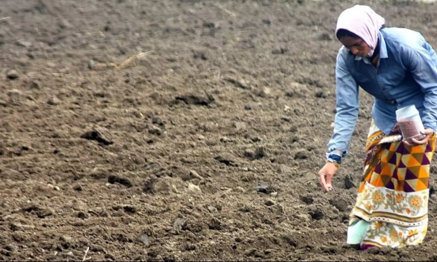 India ranks 135 in gender parity: Gender Gap report 2022