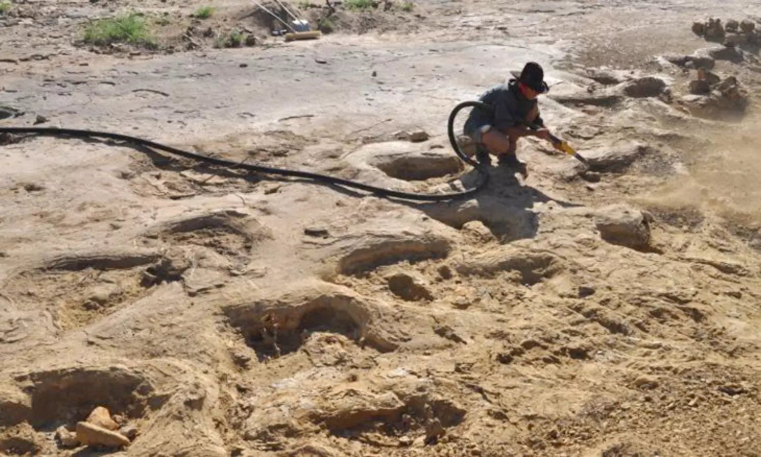 Over 1,000 dinosaur footprints found in Chile, Chances of a great project