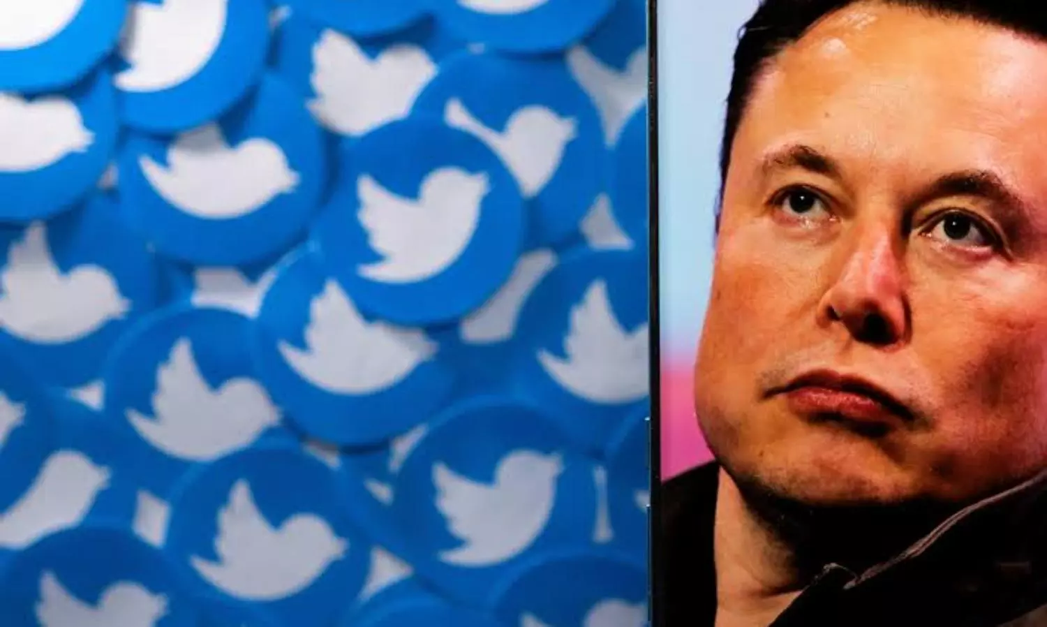 Elon Musk loses in court in pursuit of delaying Twitter deal trial