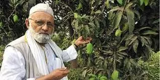 Indian man creates over 300 mango varieties from 120-year-old mango tree