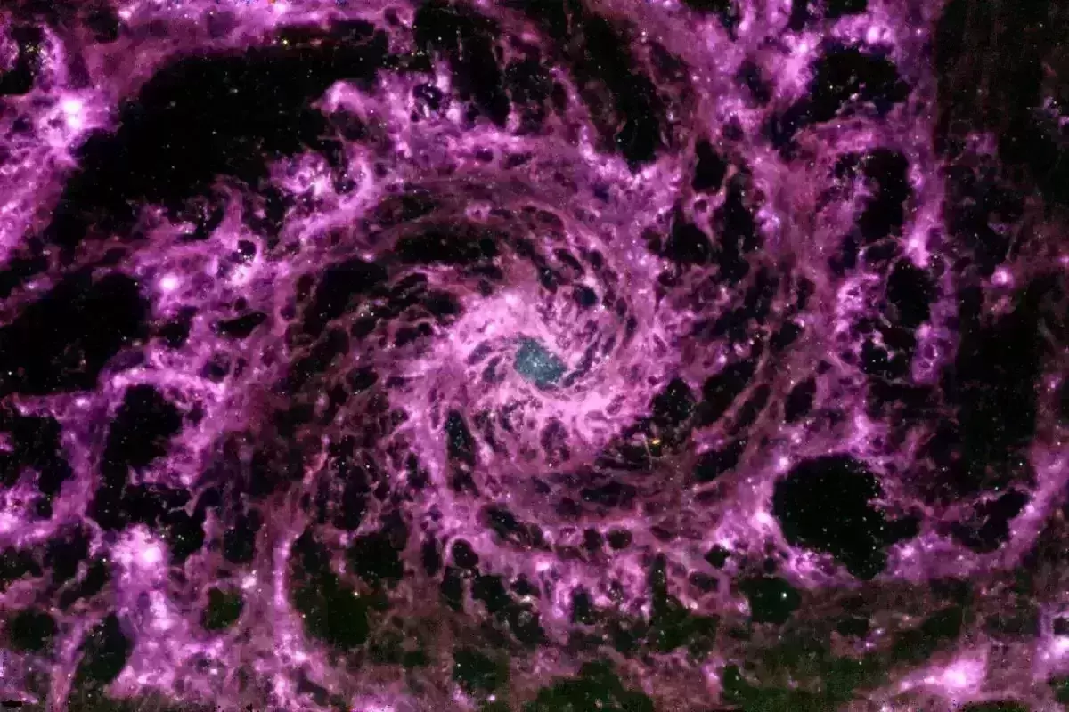 JWST delivers phantom galaxy photo that mirrors a purple vortex