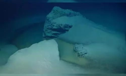 Newly discovered deadly pool beneath the ocean kills anything that swims into it