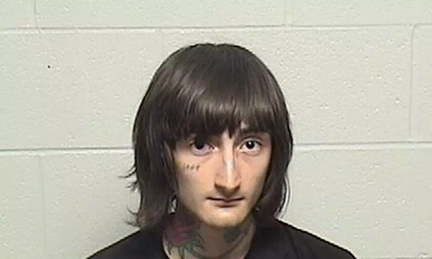 US July 4 parade shooter charged on over 100 counts: officials