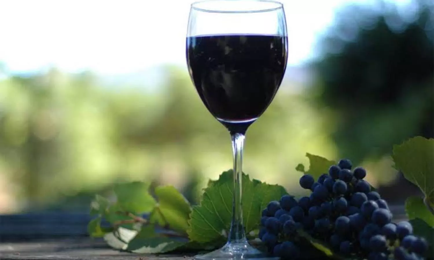 Kerala boy lands in trouble for making wine by watching YouTube video, friend hospitalised after drinking it