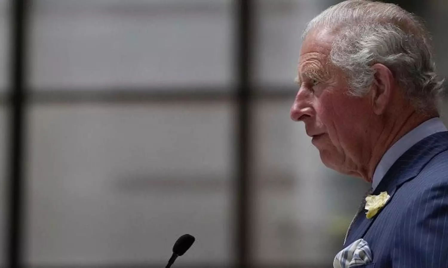 Probe launched into money given to Prince Charles charity by Bin Laden family