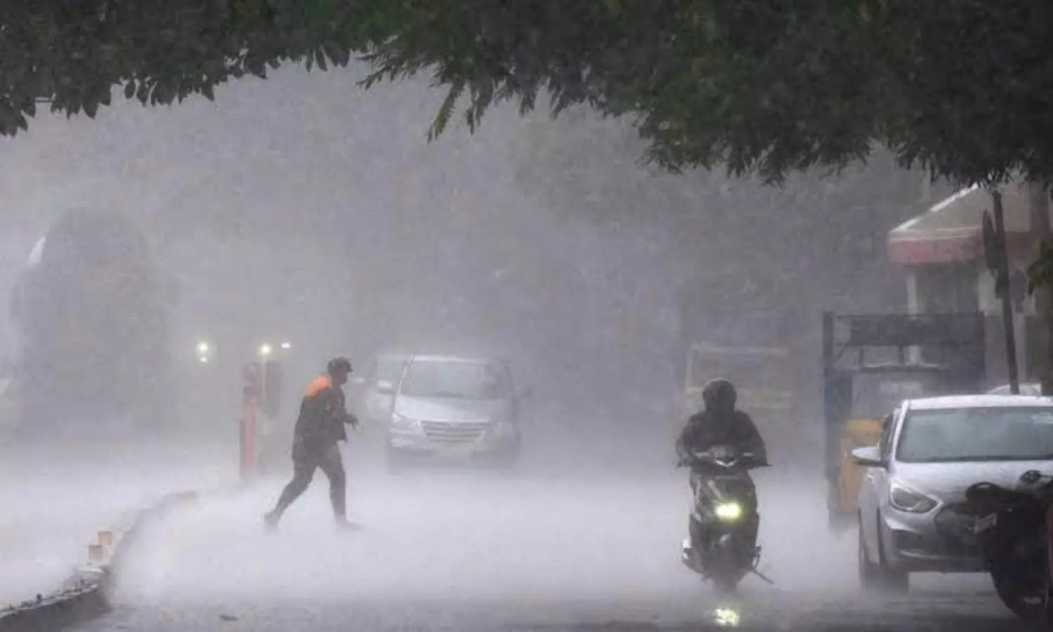 IMD predicts heavy rainfall over South Peninsular India during the next 5 days, issues alerts for Kerala, Karnataka