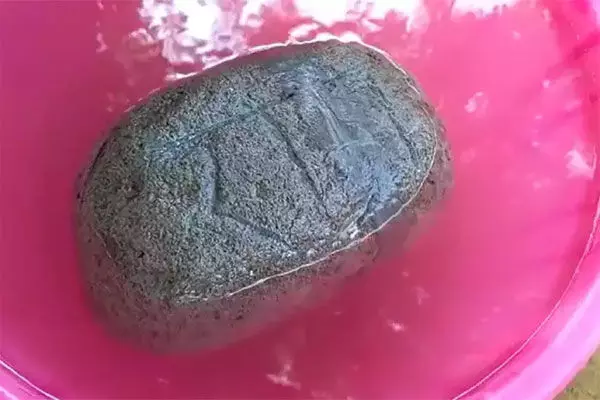Video of stone with Ram inscribed on it floating in river goes viral