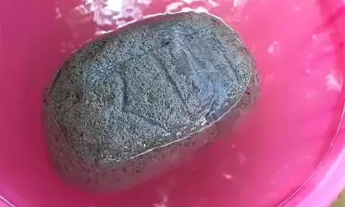 Video of stone with Ram inscribed on it floating in river goes viral