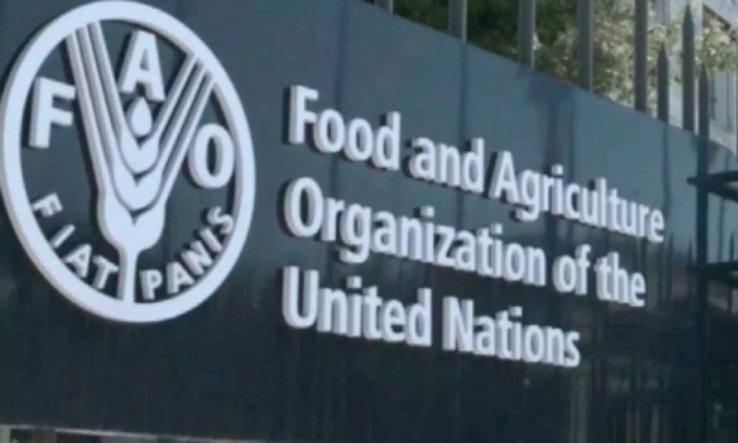 FAO announces a decline in Global food commodity prices
