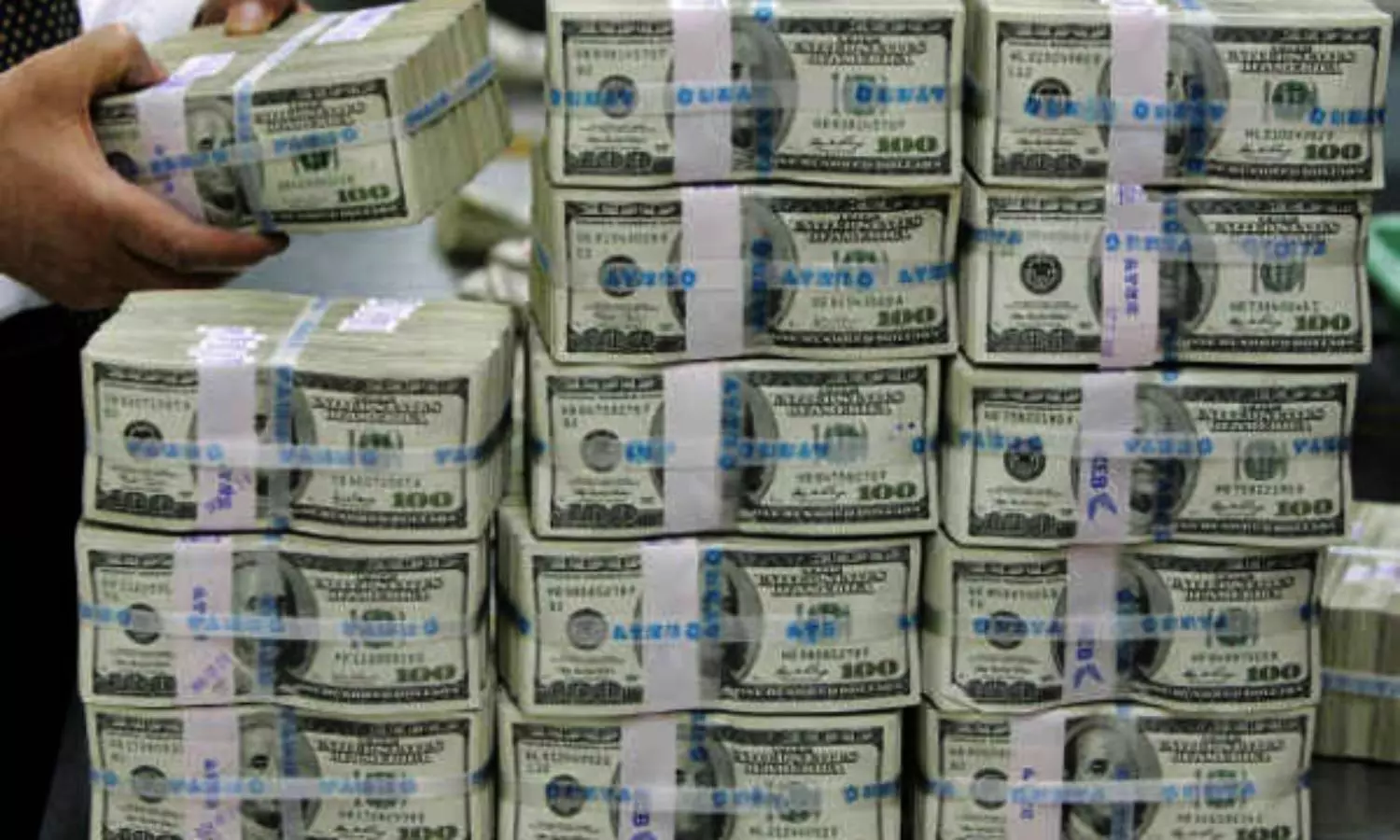 Indian forex reserves grow thanks to capital inflows, strong rupee