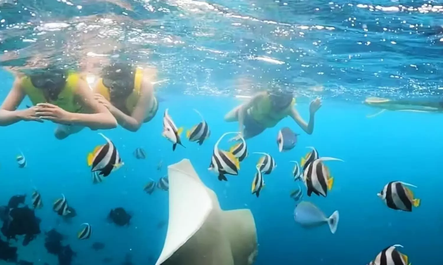 Sushmita Sen goes snorkeling with her daughters, Shares pictures